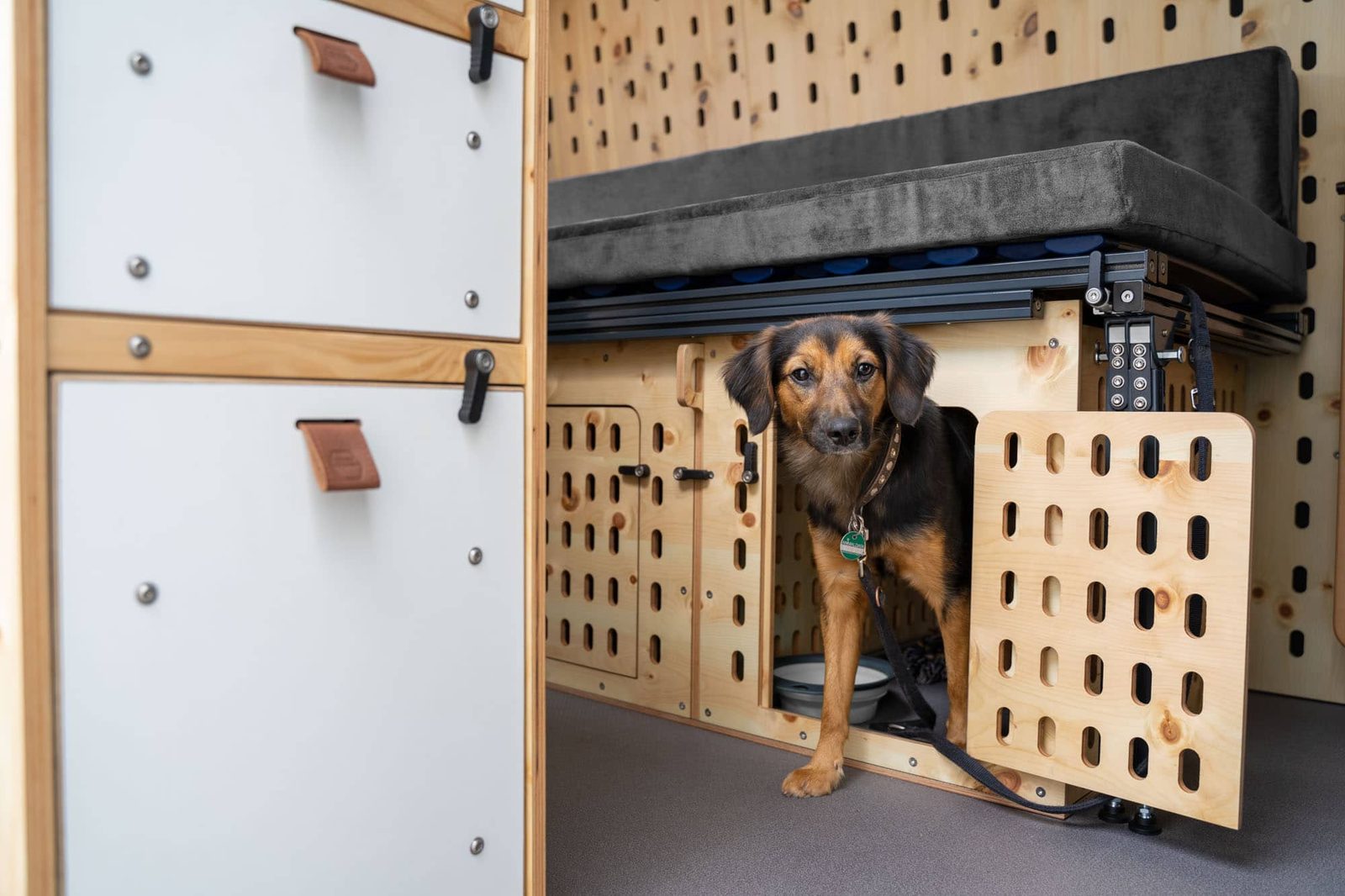 Hundebox für sicheren Transport